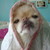 :iconpinksterluck: