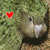 :iconpinksyberry: