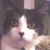 :iconpinktat: