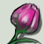 :iconpinktulipplz: