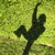 :iconpinku-cherry: