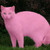 :iconpinkykatz: