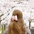 :iconpinkykei: