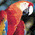 :iconpinkyparrot:
