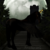 :iconpinohorseg: