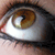 Pinosious :iconpinosious: