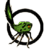 :iconpinseltierchen: