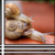 :iconpinto30: