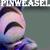 :iconpinweasel: