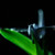 :iconpiorekpl:
