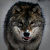 :iconpiotrek23: