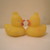 :iconpip-nic: