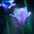:iconpip-pepper-pot: