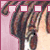 :iconpip-the-echidna: