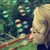:iconpipari0: