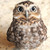 :iconpiper959: