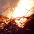 :iconpipexxgfx:
