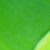 :iconpippage: