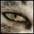 :iconpippin6987: