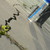 PippinTook95 :iconpippintook95: