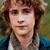 :iconpippintookoftheshire: