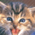 :iconpipsuuu: