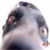 :iconpirate-liz: