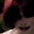 :iconpirate-perv: