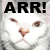 :iconpiratedeb: