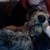 :iconpiratekadi: