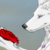 :iconpirateloveshorses: