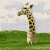 :iconpirczanchester: