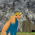 PiscesWolf :iconpisceswolf: