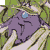 :iconpishimeow: