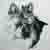 :iconpistol-packinmamma: