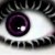 :iconpita-stock:
