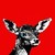 :iconpitcher: