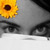 :iconpitizz:
