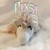 :iconpix51:
