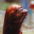:iconpixandroid: