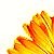 :iconpixel-of-me:
