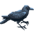 :iconpixelatedraven:
