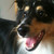 :iconpixelbark: