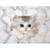:iconpixelettagal: