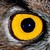 :iconpixelhorst: