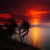 :iconpixelmount:
