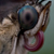 :iconpixelplant: