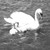 pixi5 :iconpixi5: