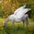 :iconpixie-dust-painter: