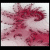 :iconpixie-fractals: